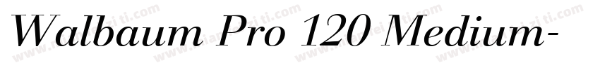 Walbaum Pro 120 Medium字体转换